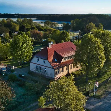 Pfirsichbaum Wesenberg